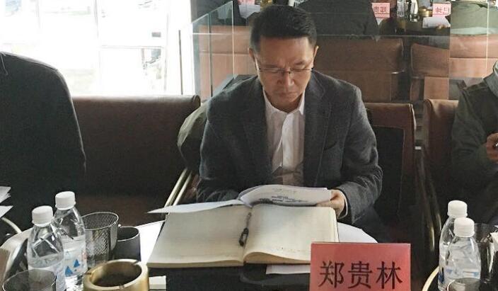 集团辅导郑贵林率队调研壹定发商贸投资项目