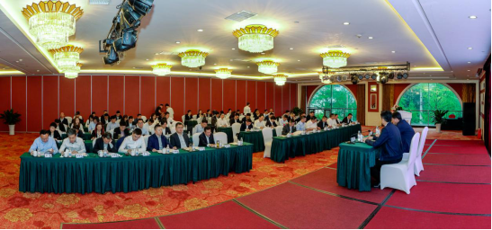 省壹定发集团开办“1363」亟略专题钻研班