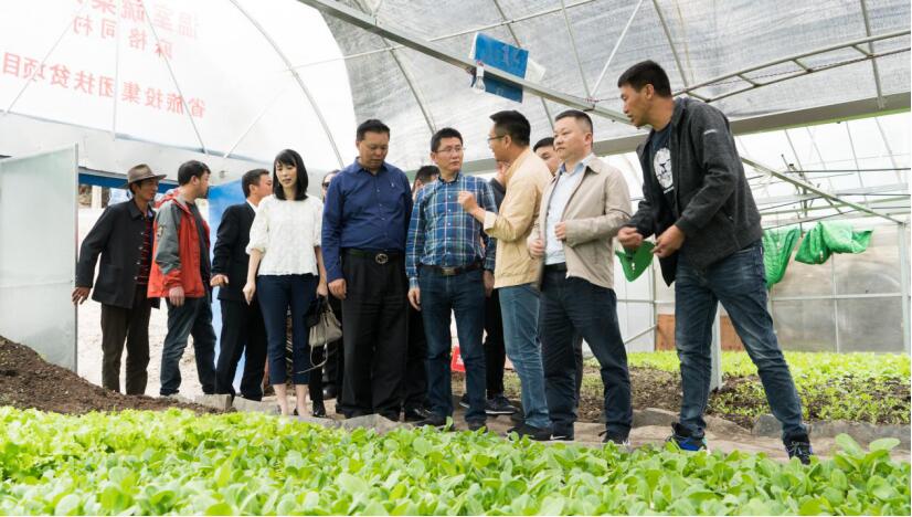 集团辅导调研督导麻格同村助扶工作