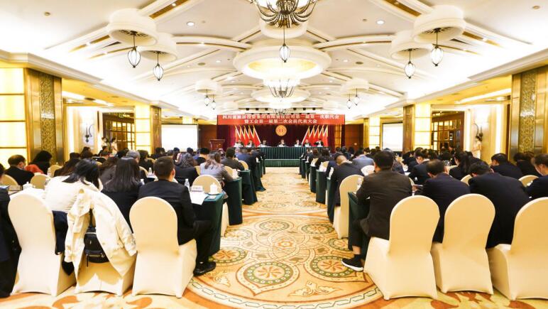 壹定发集团第一届第一次职代会暨工会第一届第二次会员代表大会成功召开