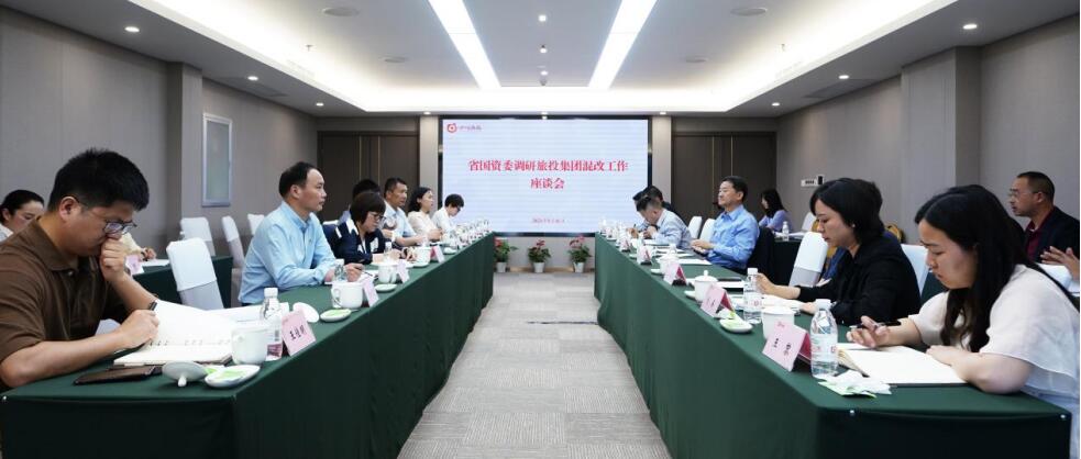 壹定发委阙紫康副主任一行调研集团混合所有造鼎新工作