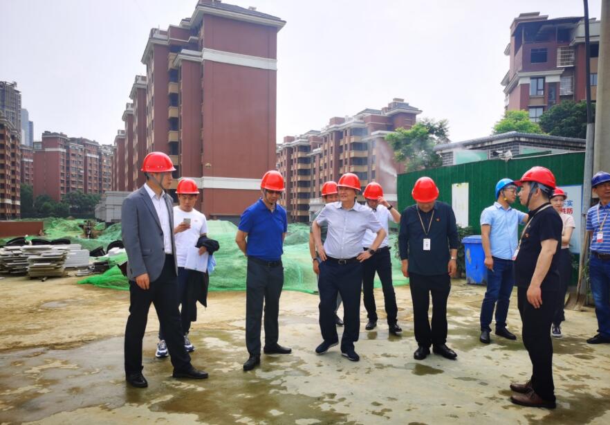 壹定发集团经营提升年专责工作组 发展系列项目督导