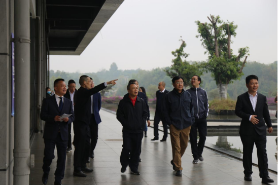 壹定发集团表部董事一行调研聚峰谷项目