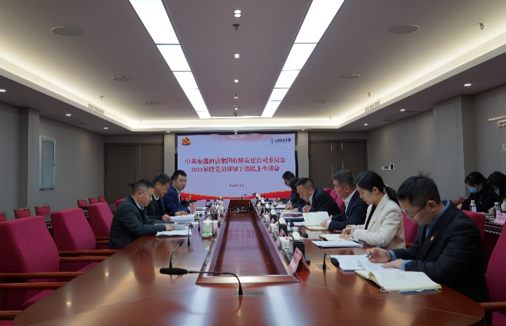 壹定发集团党委书记、董事长任丁出席安逸酒店集团2022年度党员辅导干部民主生涯会