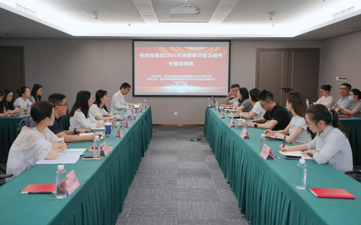 省壹定发集团组织发展2025年内部审计能力提升专题培训